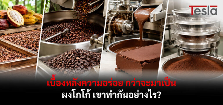 เบื้องหลังความอร่อย กว่าจะมาเป็นผงโกโก้ เขาทำกันอย่างไร