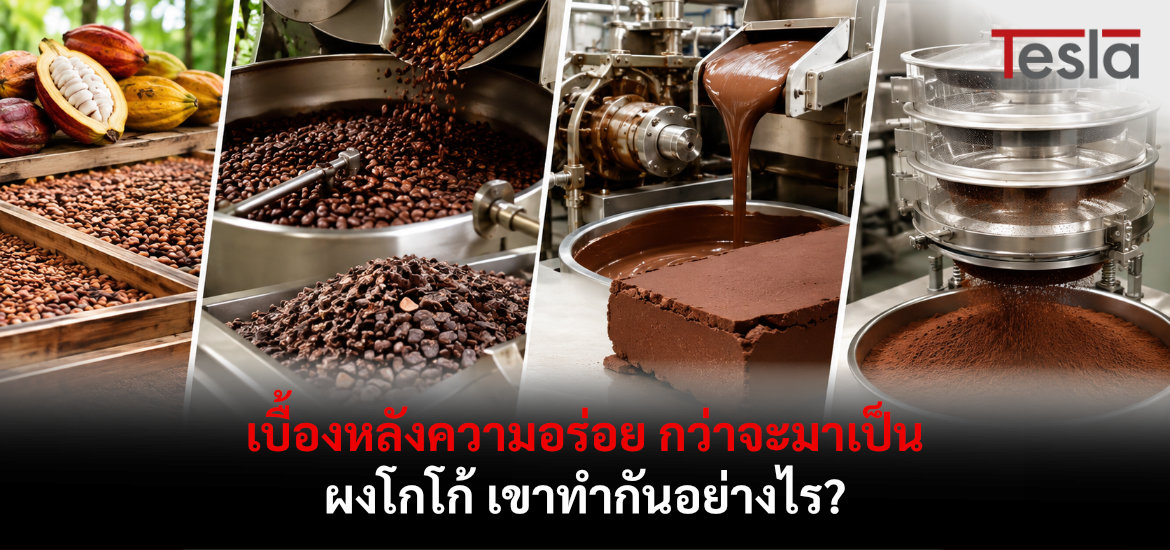 เบื้องหลังความอร่อย กว่าจะมาเป็นผงโกโก้ เขาทำกันอย่างไร